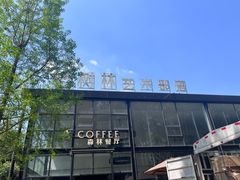 -桉树林A coffee 森林餐厅(三圣乡店)