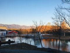 -东方苑自助餐厅(稻香湖景酒店)