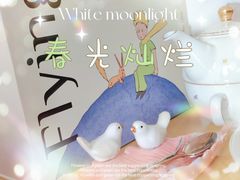-中关村茶点