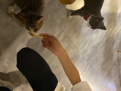 -有何Book(六堰体育馆店)