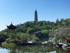 -顺峰山公园