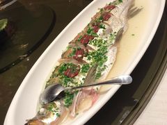 鸡油蒸白水鱼-上海人家花樣年华(中山公园店)