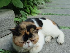 -谷咖啡·鲜花绿植花园餐厅