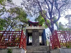 -青龙山国家森林公园