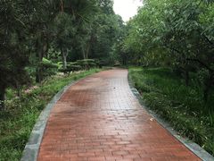 -宝鸡植物园