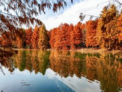 -上海海湾国家森林公园