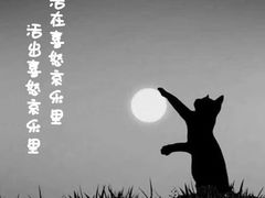 -本觉禅拍