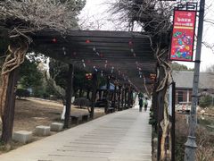 -白马涧龙池景区