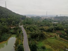 -美的鹭湖森林度假区