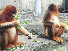 -大连森林动物园