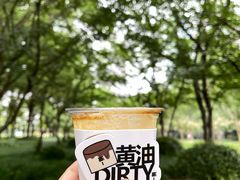 -陆家嘴中心绿地