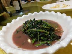 -丁老爷子苏香圆