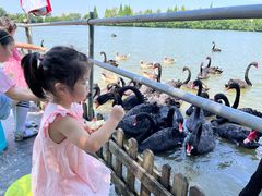 -艾溪湖湿地公园