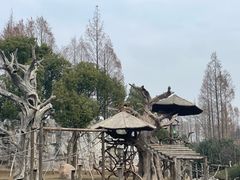 -上海野生动物园