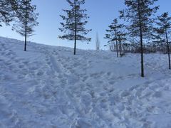 -长白山万达喜来登度假酒店