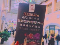 -枫叶小镇奥特莱斯