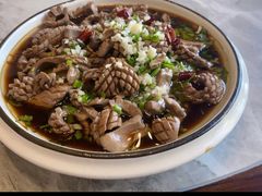 -呼吸森林·生态农庄农家乐私房菜