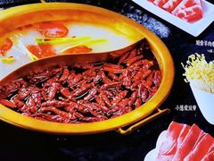 -小天鹅火锅·一线江景洪鼎旗舰店(洪崖洞店)