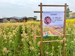 -中国天府农业博览园