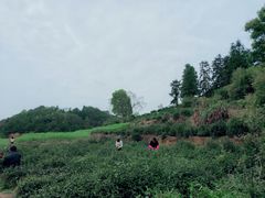 -新安江山水画廊风景区
