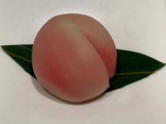 一颗桃子-青山研究所Aoyama Lab