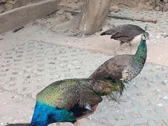 -杭州开元森泊度假乐园