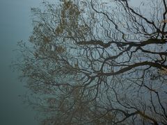 -八大山人梅湖景区