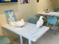-RU DUCK柯尔鸭公社·撸鸭俱乐部·羊驼·小香猪