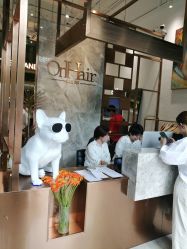 -OnHair Salon