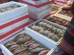 -海峡水产品交易中心(海鲜交易区)