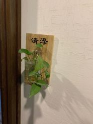 -青青一生美皮肤管理