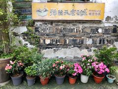 -猫的天空之城概念书店(苏州平江店)