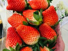 -万达广场(泰安泰山店)