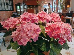 -漢舍中国菜馆(889广场店)