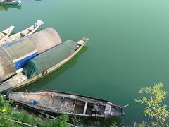 -千岛湖港湾鱼庄