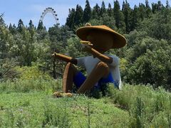 -日照海滨国家森林公园