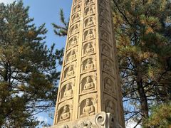 -凯鸽火锅城(五部迎宾东路店)