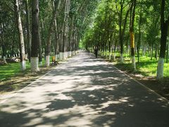 -东郊湿地公园