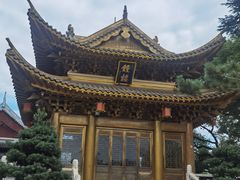 -上海东林寺(金山区)