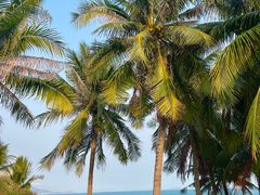 -三亚南山文化旅游区