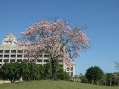 景点-风云岭森林公园