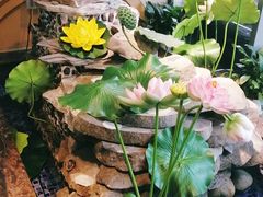 -蕃茄述·好汤自然来(江汉路店)