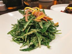 -三利音·浦之舟(滨江大道店)