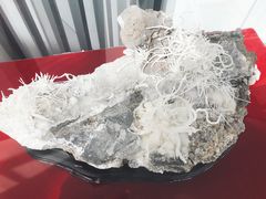 -房山世界地质公园博物馆