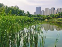 -滨湖塘西河公园