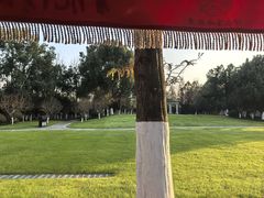 -合肥滨湖国家森林公园