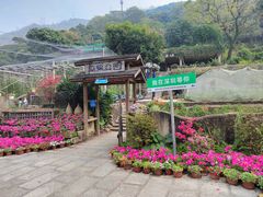 -青青世界