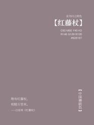 -禧趣婚礼