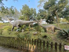 -自贡恐龙博物馆