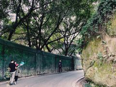-重庆彩云湖湿地公园